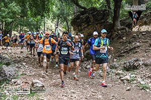 Trail des cèdres 2024